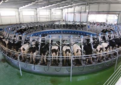 Исследование затрат на персонал предприятий мясо-молочной промышленности